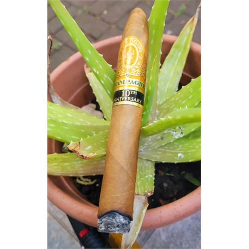 Perdomo Reserve Champagne Torpedo 7  * 54