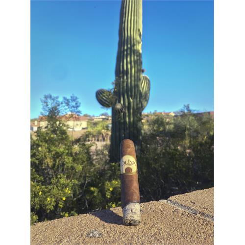 Oliva Serie G Robusto 4 1/2 * 50