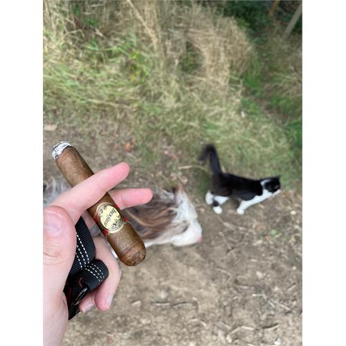 Brick House Toro 6  * 52