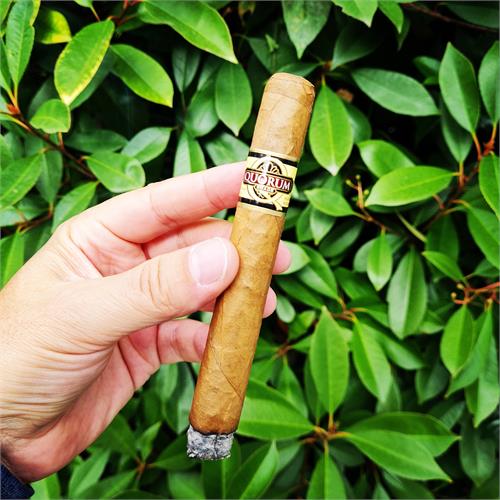 Quorum Shade Toro 6  * 50