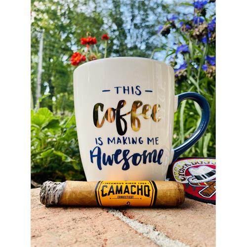 Camacho Connecticut 60 6  * 60