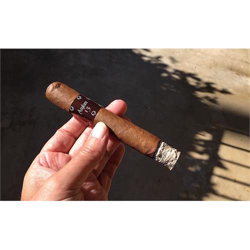 Asylum 13 Corojo Toro 6  * 52