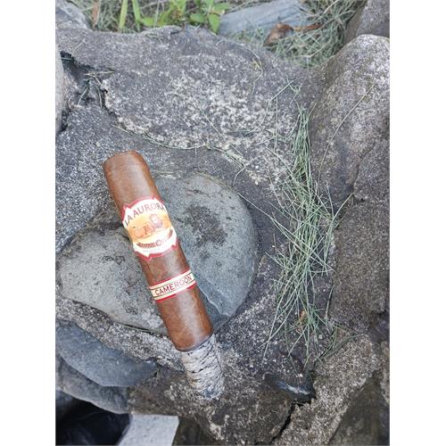 La Aurora 1903 Cameroon Robusto 5  * 50