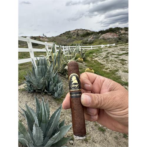 Davidoff Winston Churchill Late Hour Robusto  5  * 52