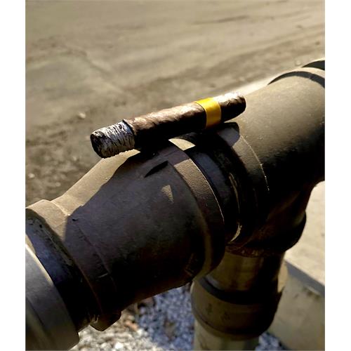 Crowned Heads Yellow Rose 6 1/4 * 54