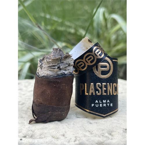 Plasencia Alma Fuerte Robustus I 5 1/4 * 52