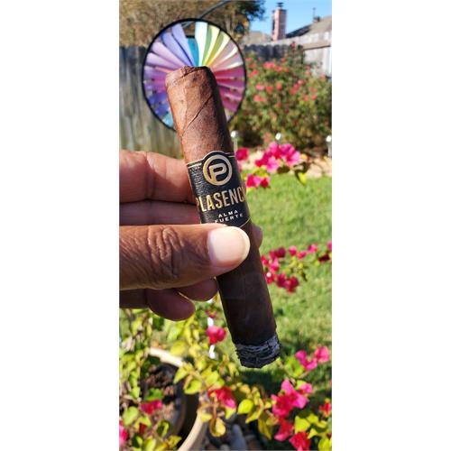 Plasencia Alma Fuerte Robustus I 5 1/4 * 52