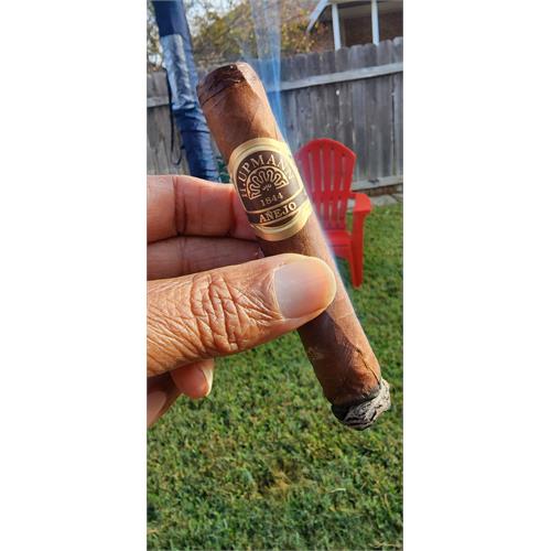 H. Upmann 1844 Anejo Robusto 5  * 50
