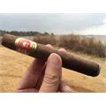 H. Upmann Vintage Cameroon Belicoso 6 1/8 * 52