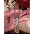Padron Series 6000 Torpedo Natural 5 1/2 * 52