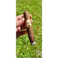 Oliva Serie G Double Robusto 5  * 54