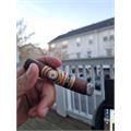 Perdomo 20th Anniversary Sun Grown E656 6  * 56