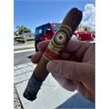 Perdomo 20th Anniversary Sun Grown C756 7  * 56