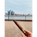H. Upmann The Banker Annuity 6  * 52