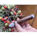 Davidoff Millennium Robusto 5 1/4 * 50