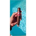 Macanudo Inspirado Red Gigante 6  * 60