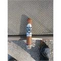 Black Label Santa Muerte Short Robusto 4 3/4 * 52