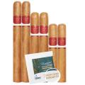 Chateau Real Shade 6-Cigar Sampler